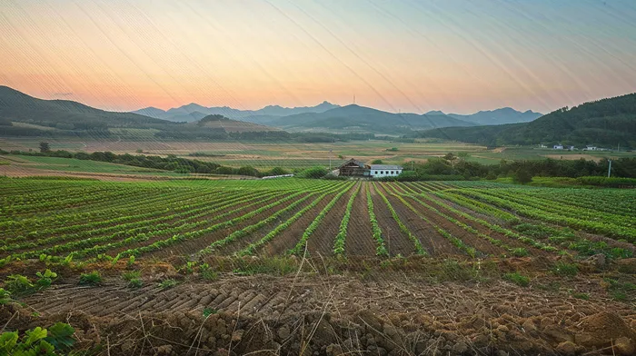 파산면책후누락채권